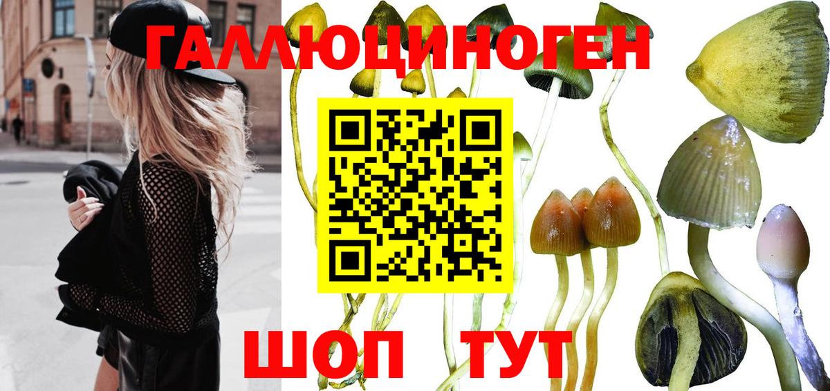 Кириши  Галлюциногенные грибы Magic Shrooms  Вход с VPN 